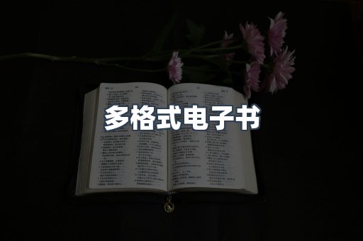 多格式电子书